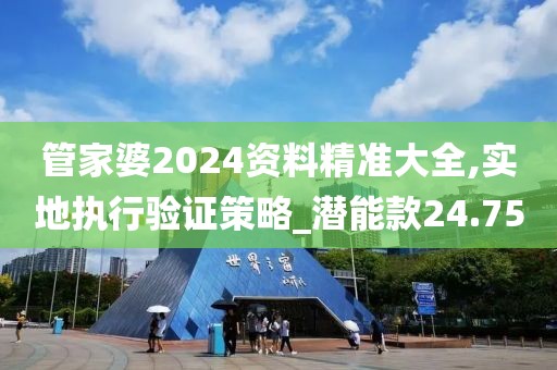 管家婆2024资料精准大全,实地执行验证策略_潜能款24.75