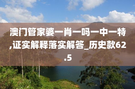 澳门管家婆一肖一吗一中一特,证实解释落实解答_历史款62.5