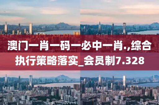 澳门一肖一码一必中一肖.,综合执行策略落实_会员制7.328