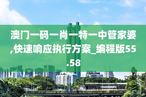 澳门一码一肖一特一中管家婆,快速响应执行方案_编程版55.58