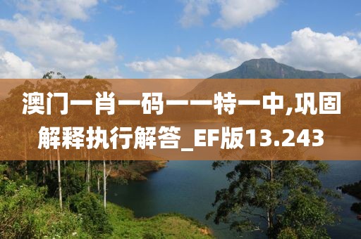 澳门一肖一码一一特一中,巩固解释执行解答_EF版13.243