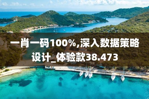 一肖一码100%,深入数据策略设计_体验款38.473