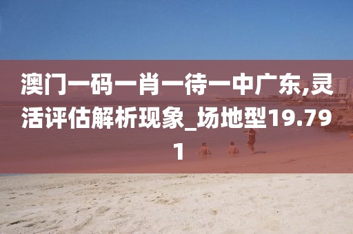 澳门一码一肖一待一中广东,灵活评估解析现象_场地型19.791