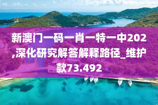 新澳门一码一肖一特一中202,深化研究解答解释路径_维护款73.492