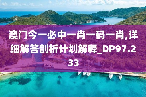 澳门今一必中一肖一码一肖,详细解答剖析计划解释_DP97.233