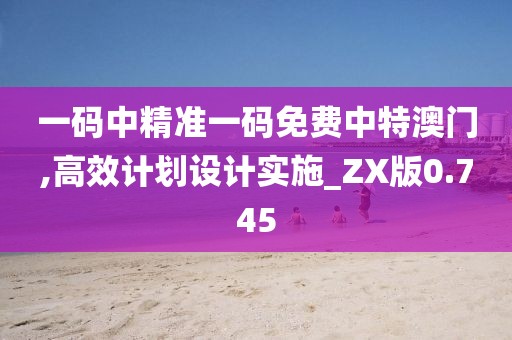 一码中精准一码免费中特澳门,高效计划设计实施_ZX版0.745