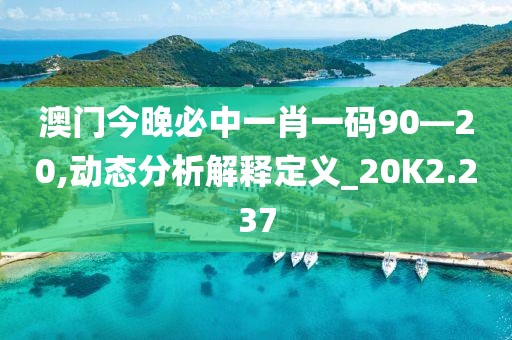 澳门今晚必中一肖一码90—20,动态分析解释定义_20K2.237