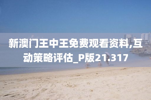 新澳门王中王免费观看资料,互动策略评估_P版21.317