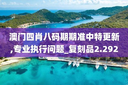 澳门四肖八码期期准中特更新,专业执行问题_复刻品2.292