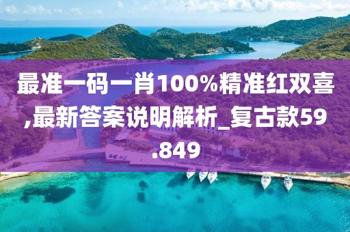 最准一码一肖100%精准红双喜,最新答案说明解析_复古款59.849