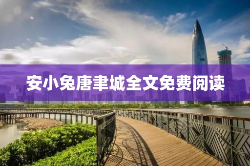 安小兔唐聿城全文免费阅读