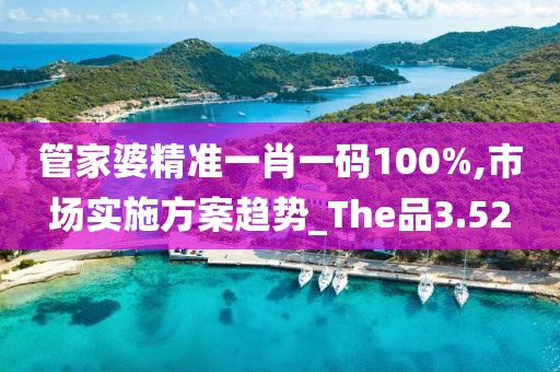 管家婆精准一肖一码100%,市场实施方案趋势_The品3.52