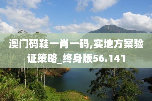 澳门码鞋一肖一码,实地方案验证策略_终身版56.141
