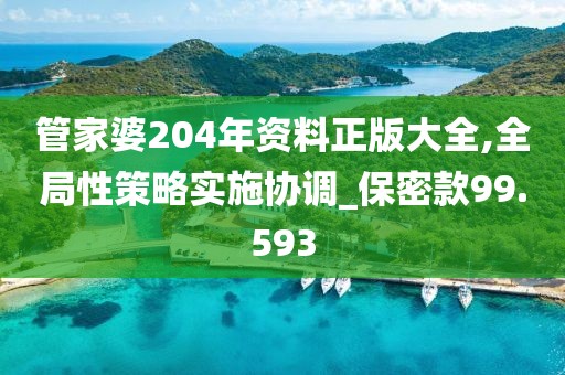 管家婆204年资料正版大全,全局性策略实施协调_保密款99.593
