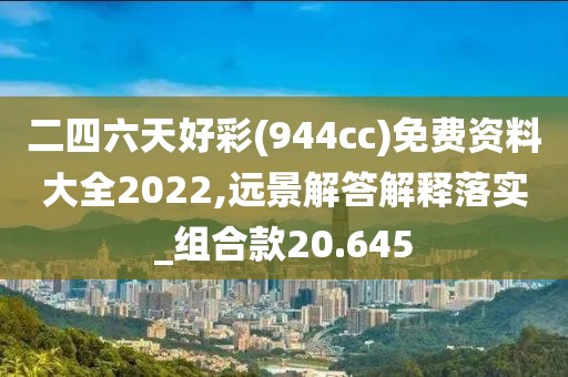 二四六天好彩(944cc)免费资料大全2022,远景解答解释落实_组合款20.645