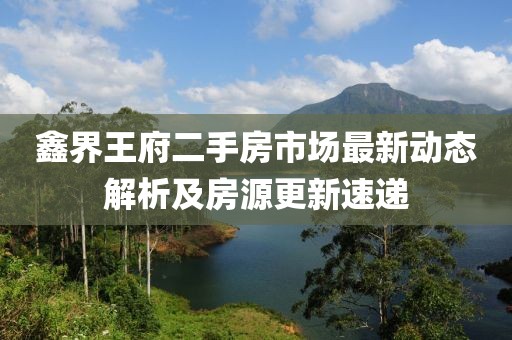 鑫界王府二手房市场最新动态解析及房源更新速递