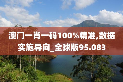 澳门一肖一码100%精准,数据实施导向_全球版95.083