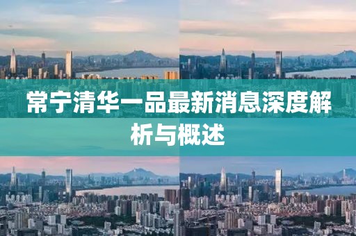 常宁清华一品最新消息深度解析与概述