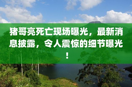 猪哥亮死亡现场曝光，最新消息披露，令人震惊的细节曝光！