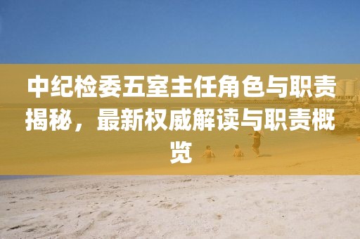 中纪检委五室主任角色与职责揭秘，最新权威解读与职责概览