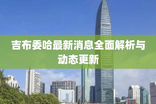 吉布委哈最新消息全面解析与动态更新