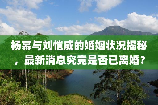 杨幂与刘恺威的婚姻状况揭秘，最新消息究竟是否已离婚？