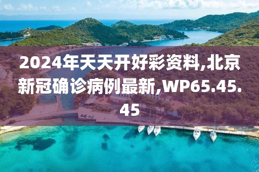 2024年天天开好彩资料,北京新冠确诊病例最新,WP65.45.45