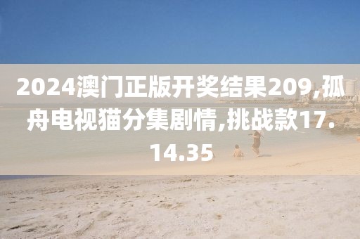 2024澳门正版开奖结果209,孤舟电视猫分集剧情,挑战款17.14.35