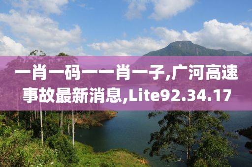 一肖一码一一肖一子,广河高速事故最新消息,Lite92.34.17