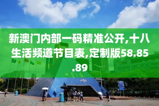 新澳门内部一码精准公开,十八生活频道节目表,定制版58.85.89