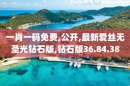 一肖一码免费,公开,最新爱丝无圣光钻石版,钻石版36.84.38