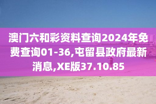 澳门六和彩资料查询2024年免费查询01-36,屯留县政府最新消息,XE版37.10.85