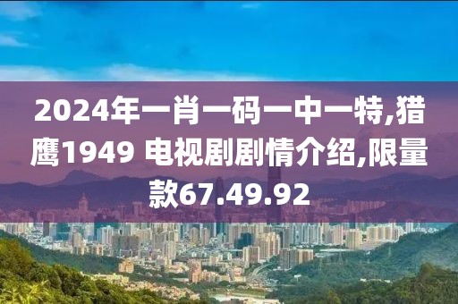 2024年一肖一码一中一特,猎鹰1949 电视剧剧情介绍,限量款67.49.92