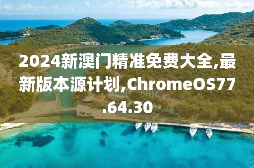 2024新澳门精准免费大全,最新版本源计划,ChromeOS77.64.30