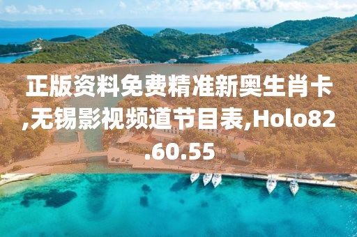 正版资料免费精准新奥生肖卡,无锡影视频道节目表,Holo82.60.55
