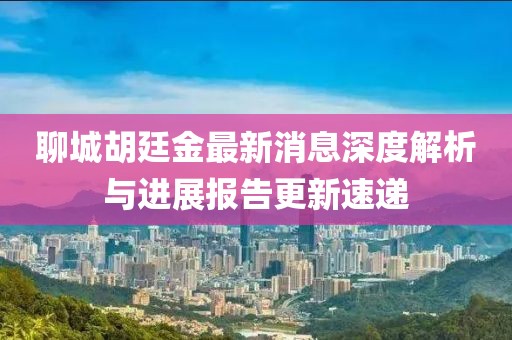 聊城胡廷金最新消息深度解析与进展报告更新速递