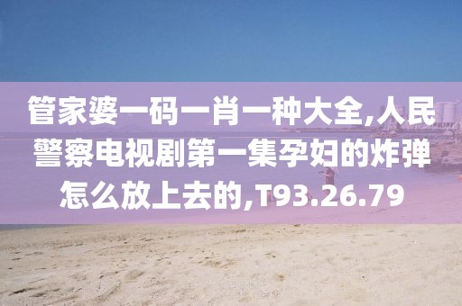 管家婆一码一肖一种大全,人民警察电视剧第一集孕妇的炸弹怎么放上去的,T93.26.79