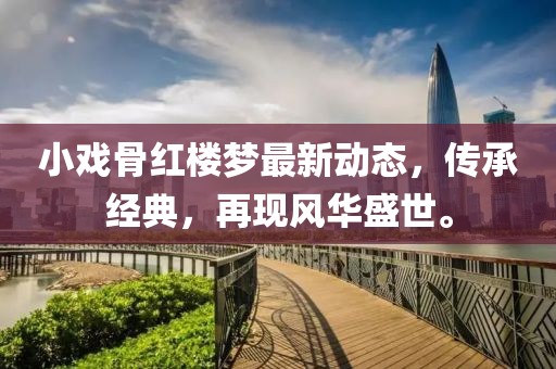 小戏骨红楼梦最新动态，传承经典，再现风华盛世。