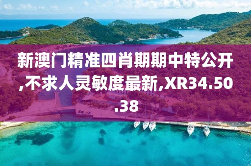 新澳门精准四肖期期中特公开,不求人灵敏度最新,XR34.50.38