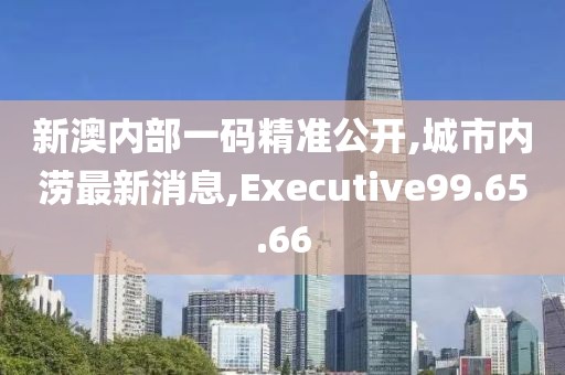 新澳内部一码精准公开,城市内涝最新消息,Executive99.65.66