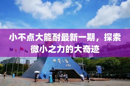 小不点大能耐最新一期，探索微小之力的大奇迹