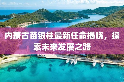 内蒙古苗银柱最新任命揭晓，探索未来发展之路