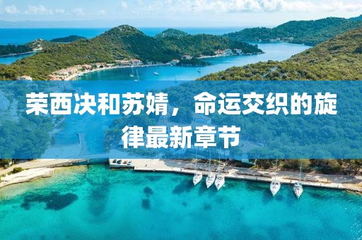 荣西决和苏婧，命运交织的旋律最新章节