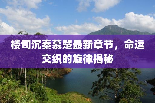 楼司沉秦慕楚最新章节，命运交织的旋律揭秘