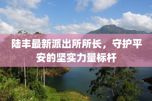 陆丰最新派出所所长，守护平安的坚实力量标杆