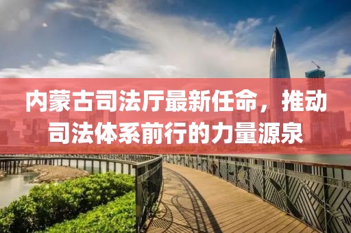 内蒙古司法厅最新任命，推动司法体系前行的力量源泉