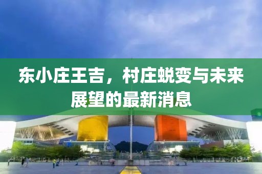 东小庄王吉，村庄蜕变与未来展望的最新消息