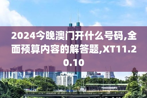 2024今晚澳门开什么号码,全面预算内容的解答题,XT11.20.10