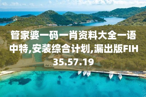 管家婆一码一肖资料大全一语中特,安装综合计划,漏出版FIH35.57.19