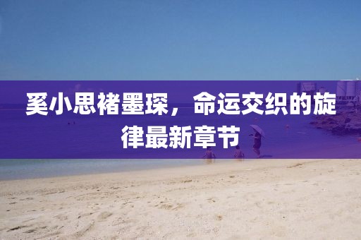 奚小思褚墨琛，命运交织的旋律最新章节